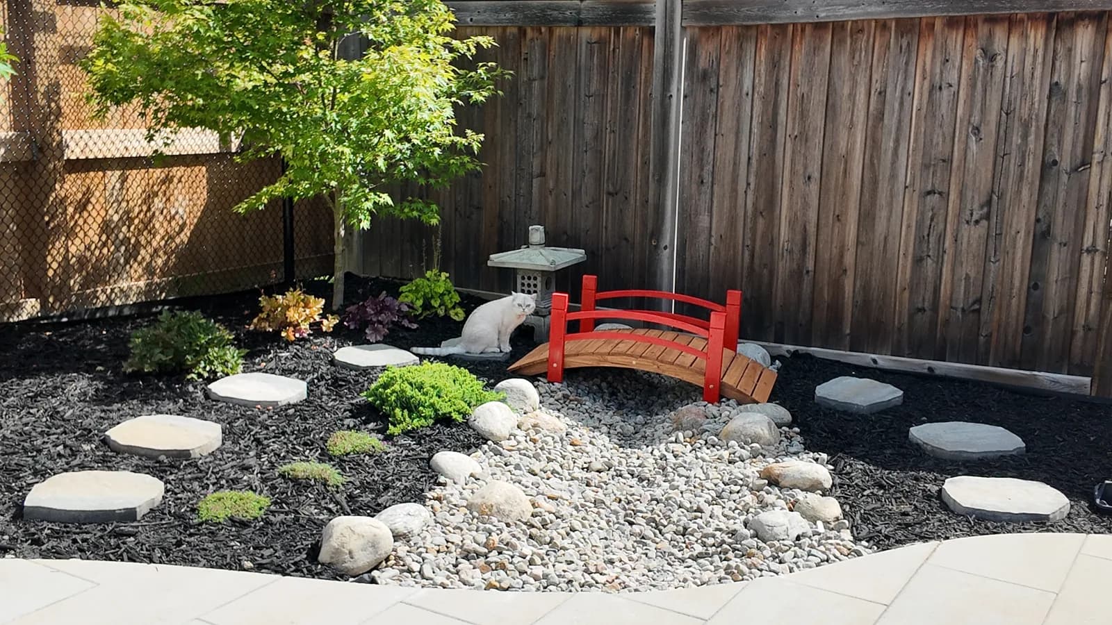 Backyard Construction — design visual