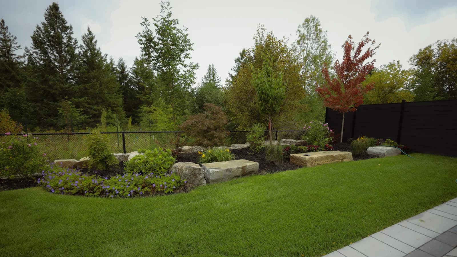 Drainage & Grading: The Invisible Work That Protects Your Yard