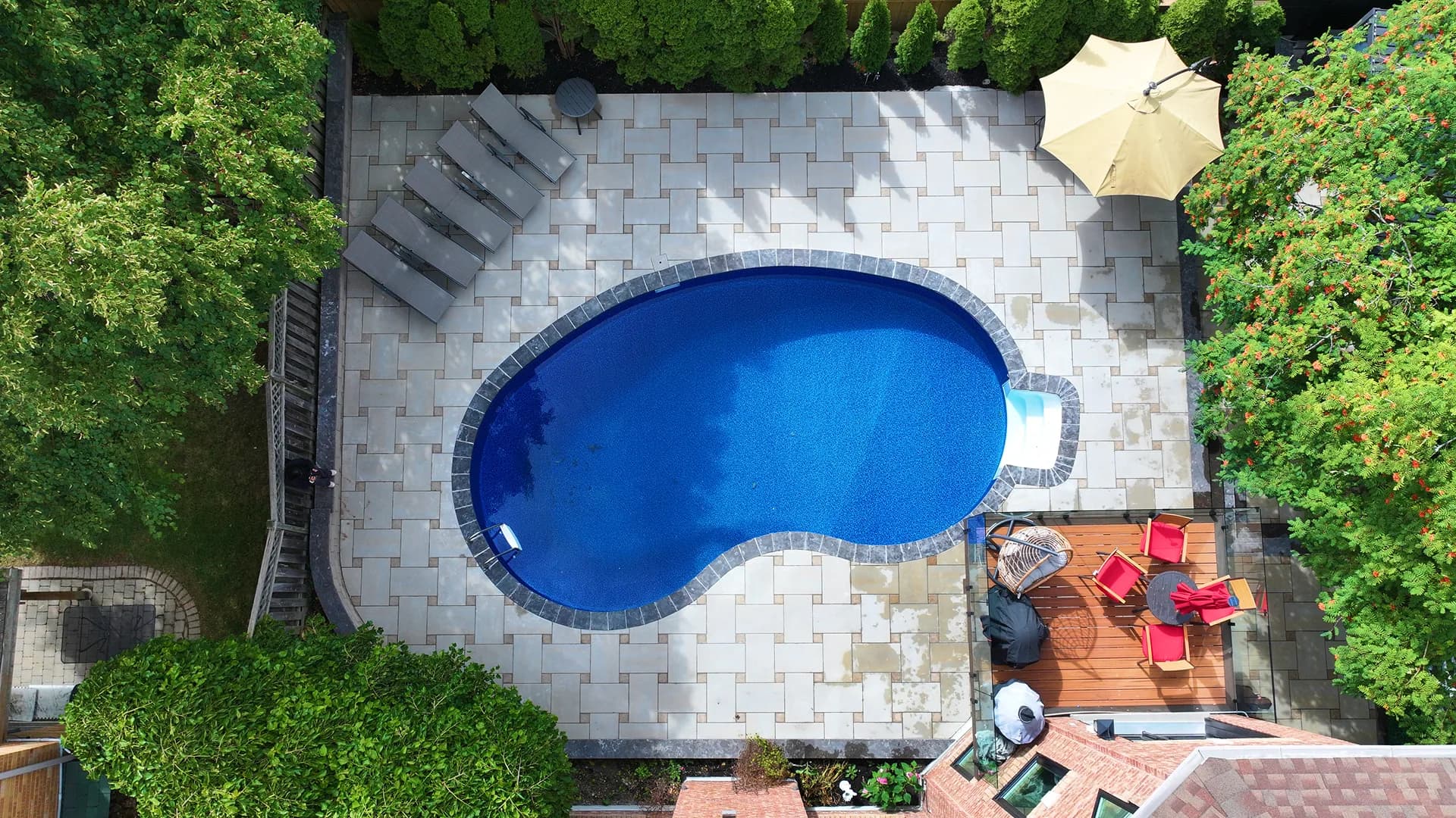 Backyard Construction